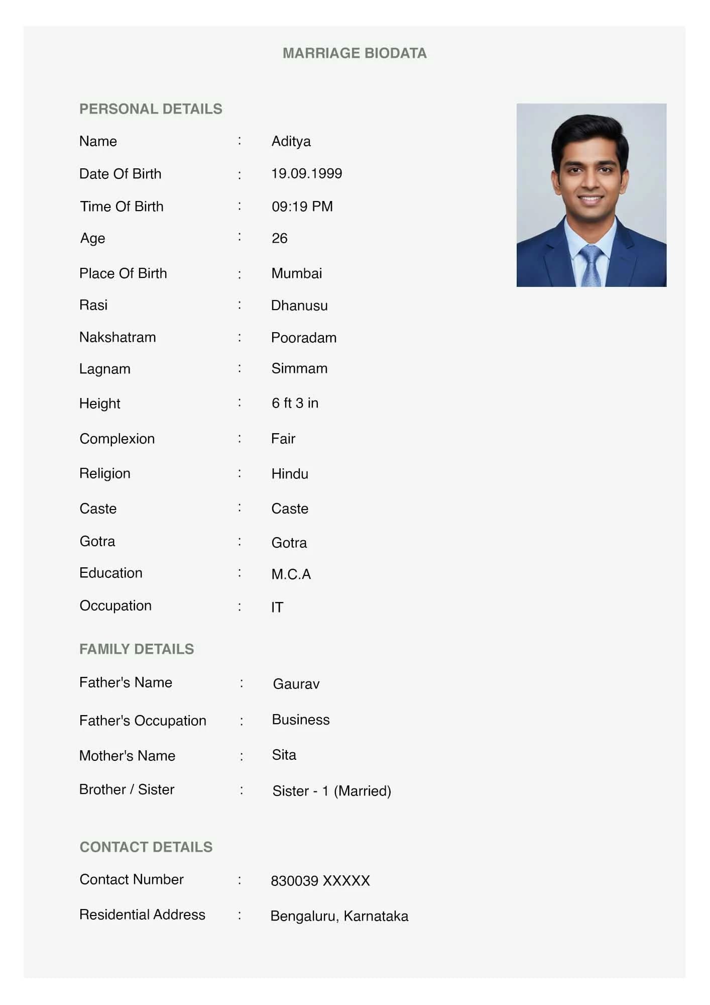 contemporary biodata with geometric elements